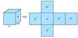 Немного информации о кубе и о способах того, как вычислить площадь поверхности куба
