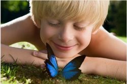 Наблюдение – это... Метод наблюдения