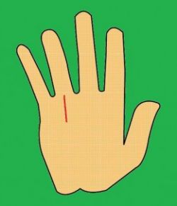 Хиромантия: линии Богатства. Где расположена линия Богатства, и что она означает?