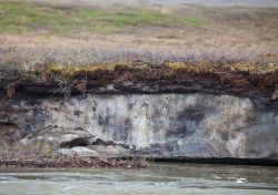 Как работают водонапорные башни? Водонапорная башня Рожновского