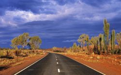 Площадь США. Соединённые Штаты Америки: площадь территория, население