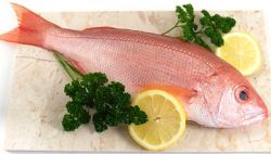 Чем полезны продукты, содержащие йод