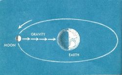 Чему равна гравитационная постоянная?