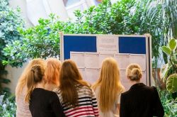 Профориентация в школе и ее структура