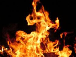 Львы и Раки: совместимость в дружбе и любви