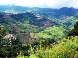 Что такое рельеф и его формы?