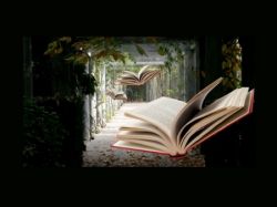 Приложение в русском языке: что мы знаем о нём?