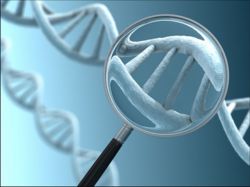 Органические кислоты. Функциональная группа органических кислот