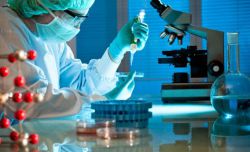 Как правильно определить объект и предмет исследования