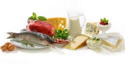 В каких продуктах содержится белок, необходимый для организма