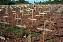 Геноцид в Руанде. Резня в Руанде: история