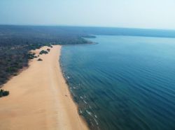 Где находится озеро Танганьика? Цихлиды озера Танганьика