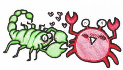 Совместимость женщина-Рак, мужчина-Скорпион в браке. Гороскоп совместимости Рак-женщина и Скорпион-мужчина