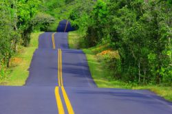 Сонник: к чему снится дорога? Все существующие толкования сна