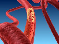 Внутренняя среда организма человека