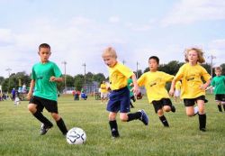 Здоровьесберегающие технологии в начальной школе по ФГОС, их виды и реализация
