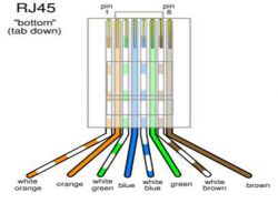Витая пара: схема обжима Интернет-кабеля