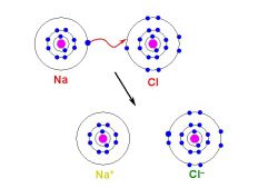 Ионы – это заряженные атомы и атомные группы. Понятие об ионных реакциях и заряде ионов