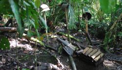 Находки Второй мировой войны. Легализация процедуры.