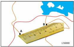 Что такое масштаб? Виды масштабов