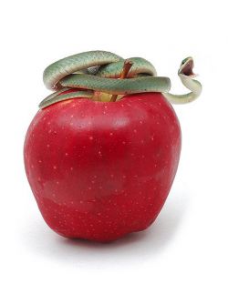 Аллюзия - это... Употребление аллюзии в речи 