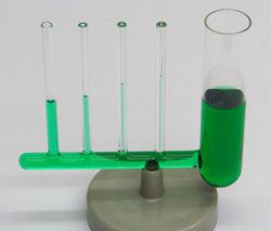 Капиллярные явления (физика). Капиллярные явления в природе