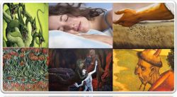 Вы на верном пути, или К чему снится семечка