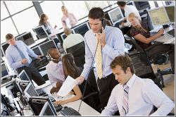 Офисный планктон. Безынициативный офисный работник