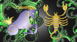 Совместимость Козерога-мужчины и Скорпиона-женщины в любви и дружбе