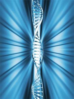 ДНК: расшифровка, история, состав, значение