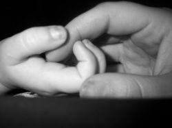 Материнская любовь. Что такое материнская любовь: определение