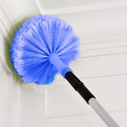 К чему снится паутина: значение и толкование сна