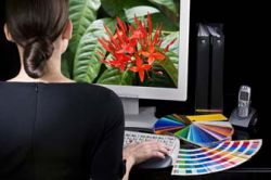 Чем занимается графический дизайнер? Как стать графическим дизайнером