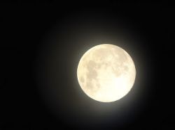 Заговоры в полнолуние, обряды и ритуалы