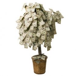 Виды прибыли, её критерии и другие важные составляющие 