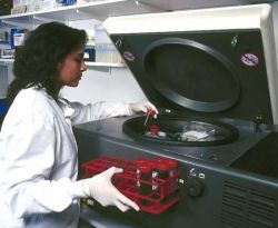 Функции современной науки в обществе