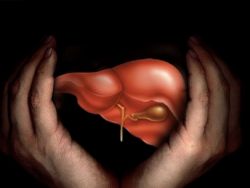  Болит печень после алкоголя? Принимаем срочные меры