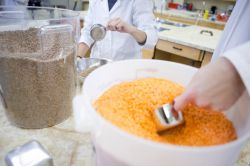 Специальность 