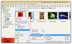 Делаем зеркальное отражение фотографий и текста