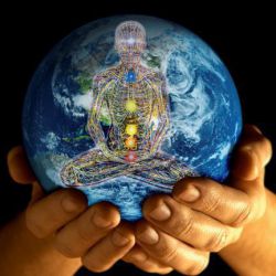 Гомеостаз - это что такое? Понятие гомеостаза