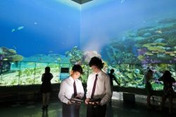 Социальные функции науки и закономерности ее развития