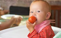 Помидор - ягода или овощ, а может, фрукт?