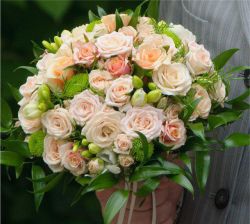 Свадебные букеты из роз: фото, описание. Свадебные букеты из ромашек и роз