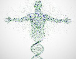 Генофонд - это... Генофонд популяции