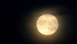 Заговор от бородавок. Виды заговоров против бородавок