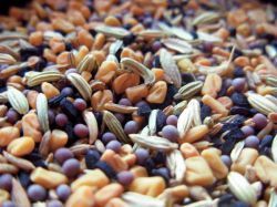 Сонник: семечки подсолнуха черные видеть, щелкать