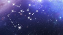 Стрелец-женщина, Телец-мужчина: совместимость знаков