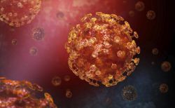 Коронавирус у человека: симптомы и лечение. Коронавирус MERS у человека
