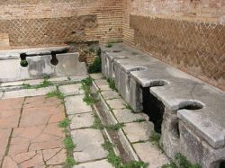 Что скажет сонник: туалет