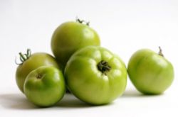 Томат Примадонна - для неблагоприятных в плане урожая участков